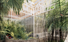 Das Palmen Haus - Atmosphärische Darstellung von Gerriet Behrens