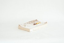 Umgebungsmodell 1:5000 von Milena Nitsche